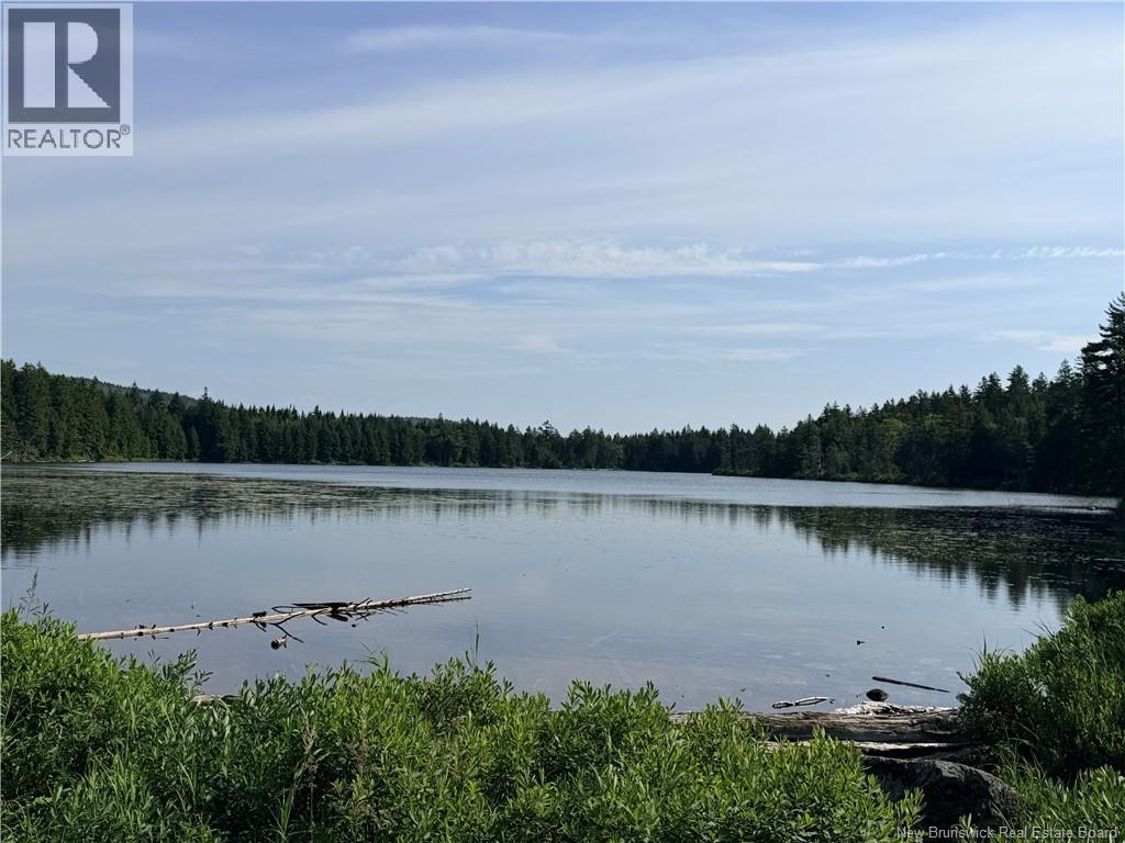 Big Salmon River Road, Fair View, New Brunswick  E5R 1L6 - Photo 3 - NB145118