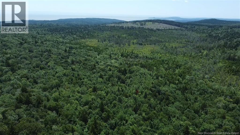 Big Salmon River Road, Fair View, New Brunswick  E5R 1L6 - Photo 12 - NB145118