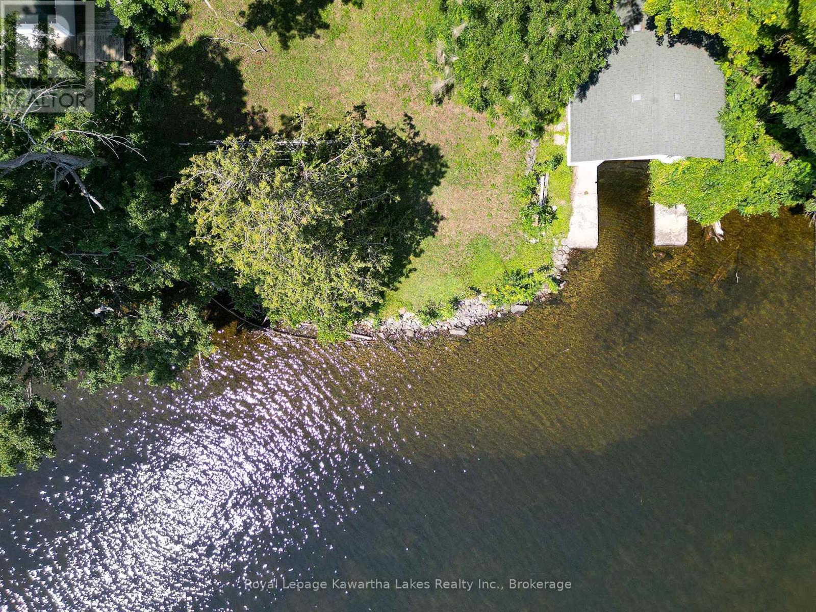 61 Finch Street, Kawartha Lakes, Ontario K0M 1N0 - Photo 11 - X13635986