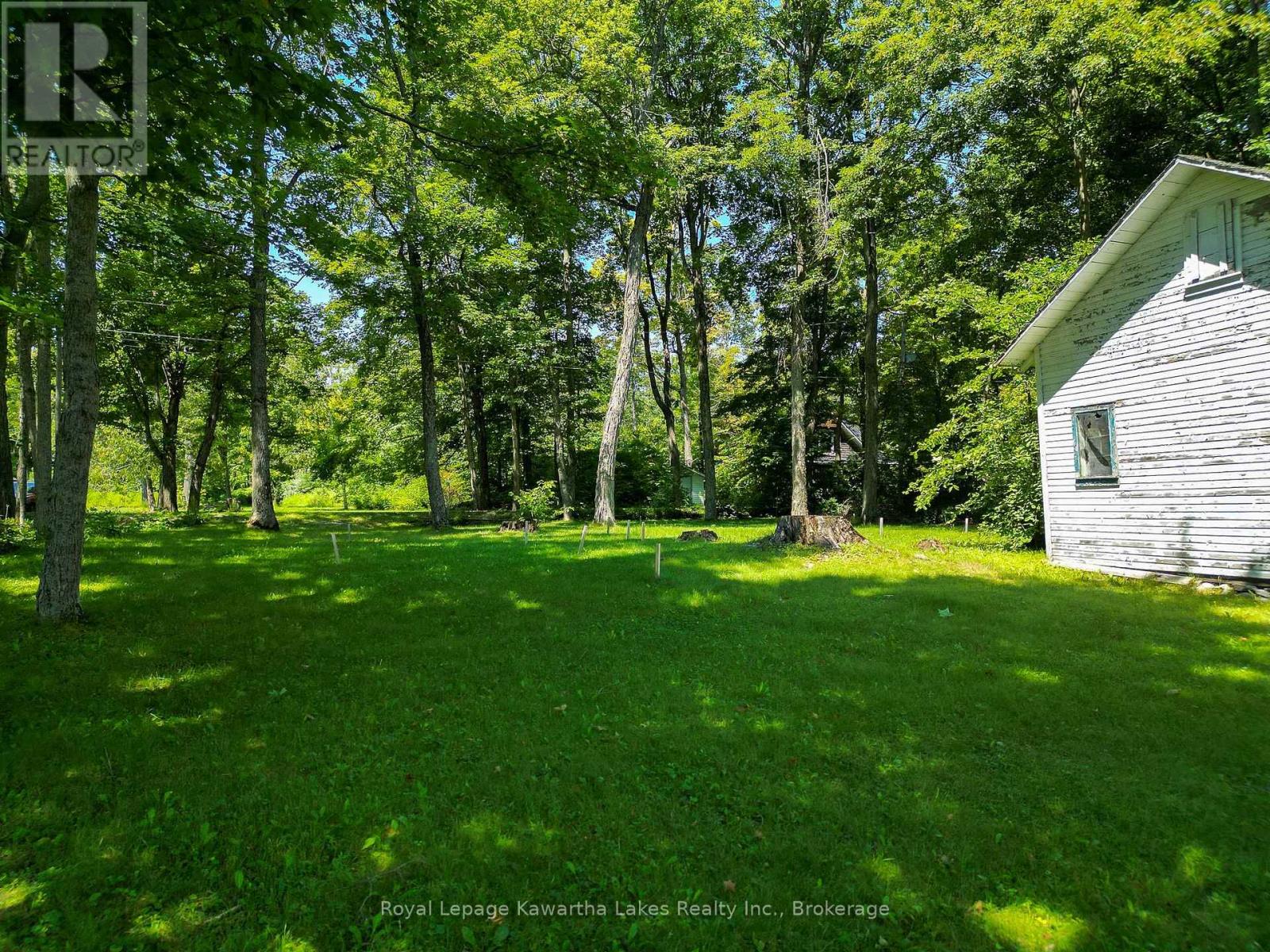 61 Finch Street, Kawartha Lakes, Ontario K0M 1N0 - Photo 12 - X13635986