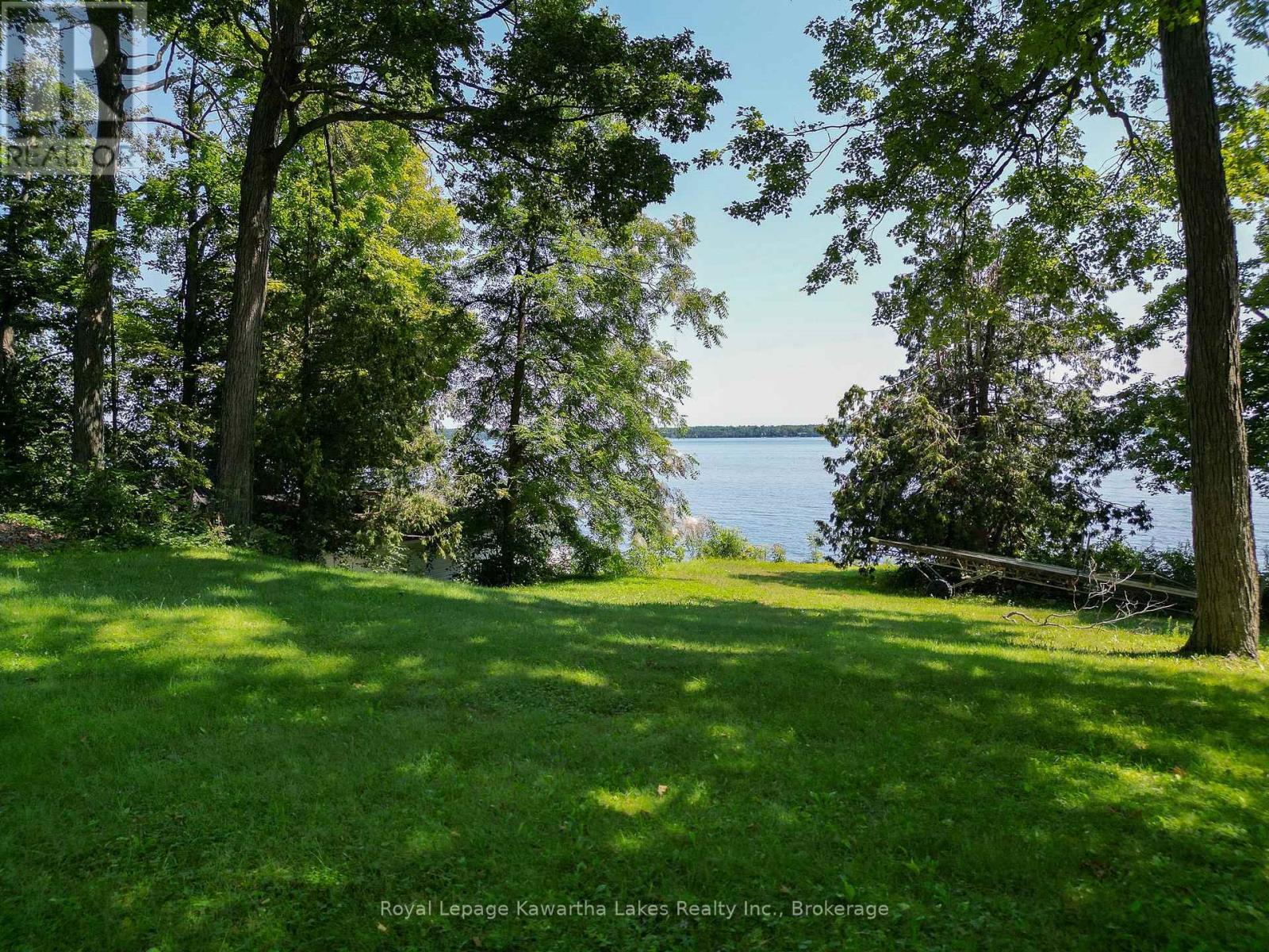 61 Finch Street, Kawartha Lakes, Ontario K0M 1N0 - Photo 13 - X13635986