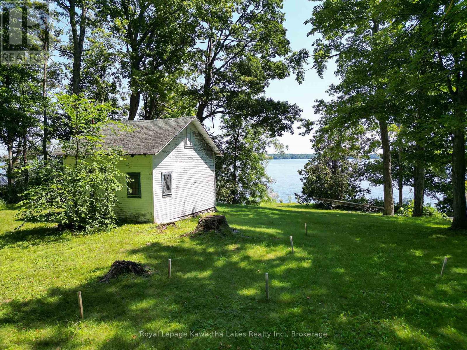 61 Finch Street, Kawartha Lakes, Ontario K0M 1N0 - Photo 14 - X13635986