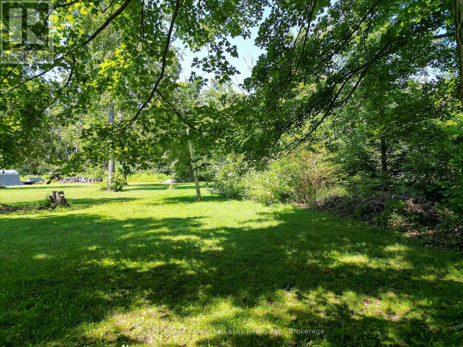 61 Finch Street, Kawartha Lakes, Ontario K0M 1N0 - Photo 15 - X13635986