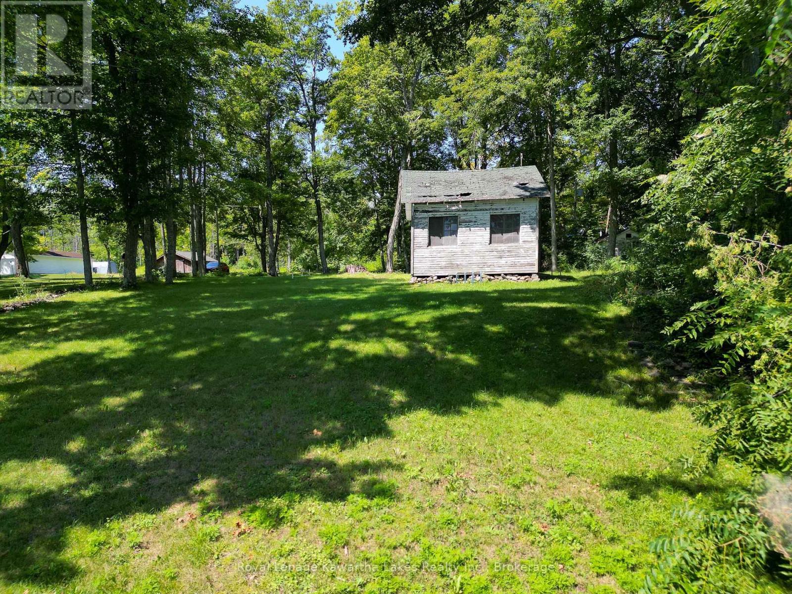 61 Finch Street, Kawartha Lakes, Ontario K0M 1N0 - Photo 17 - X13635986