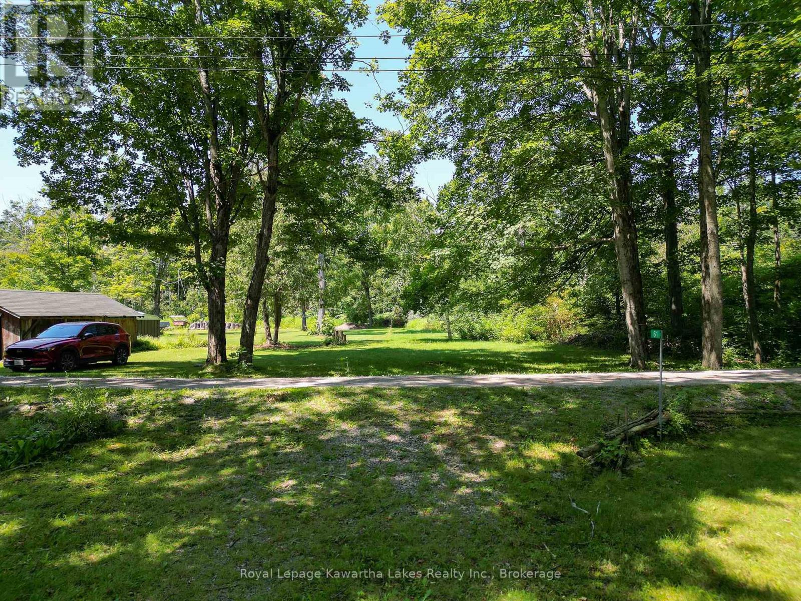 61 Finch Street, Kawartha Lakes, Ontario K0M 1N0 - Photo 18 - X13635986