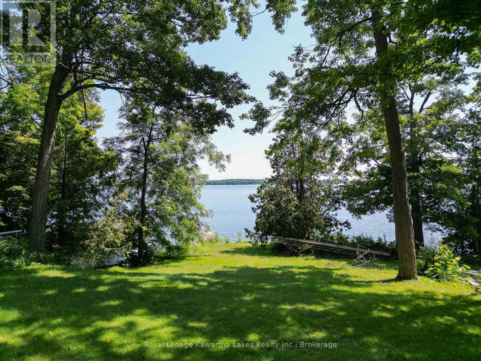 61 Finch Street, Kawartha Lakes, Ontario K0M 1N0 - Photo 4 - X13635986