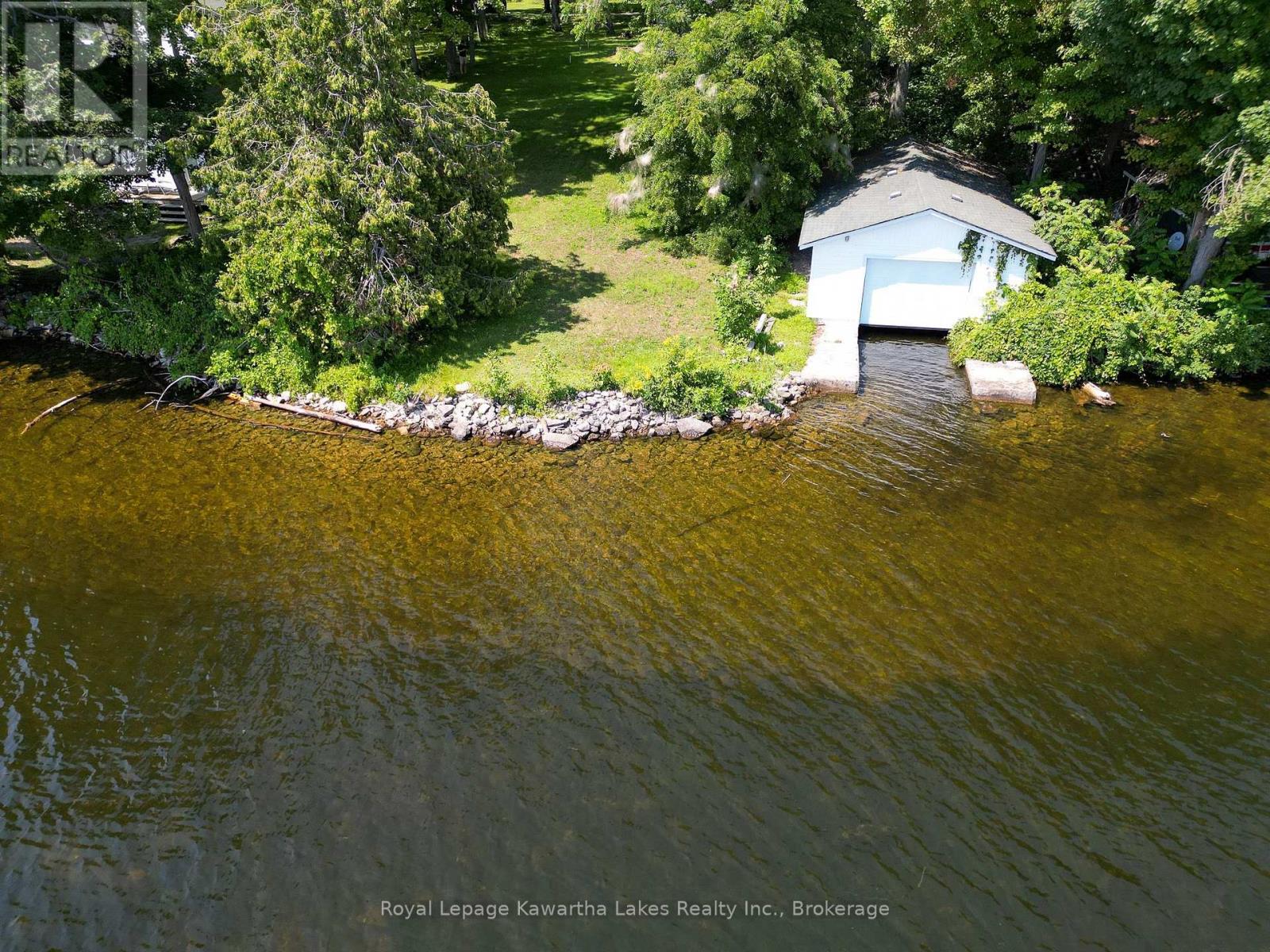 61 Finch Street, Kawartha Lakes, Ontario K0M 1N0 - Photo 7 - X13635986
