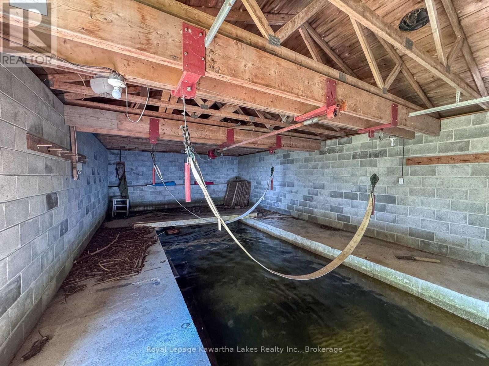 61 Finch Street, Kawartha Lakes, Ontario K0M 1N0 - Photo 9 - X13635986