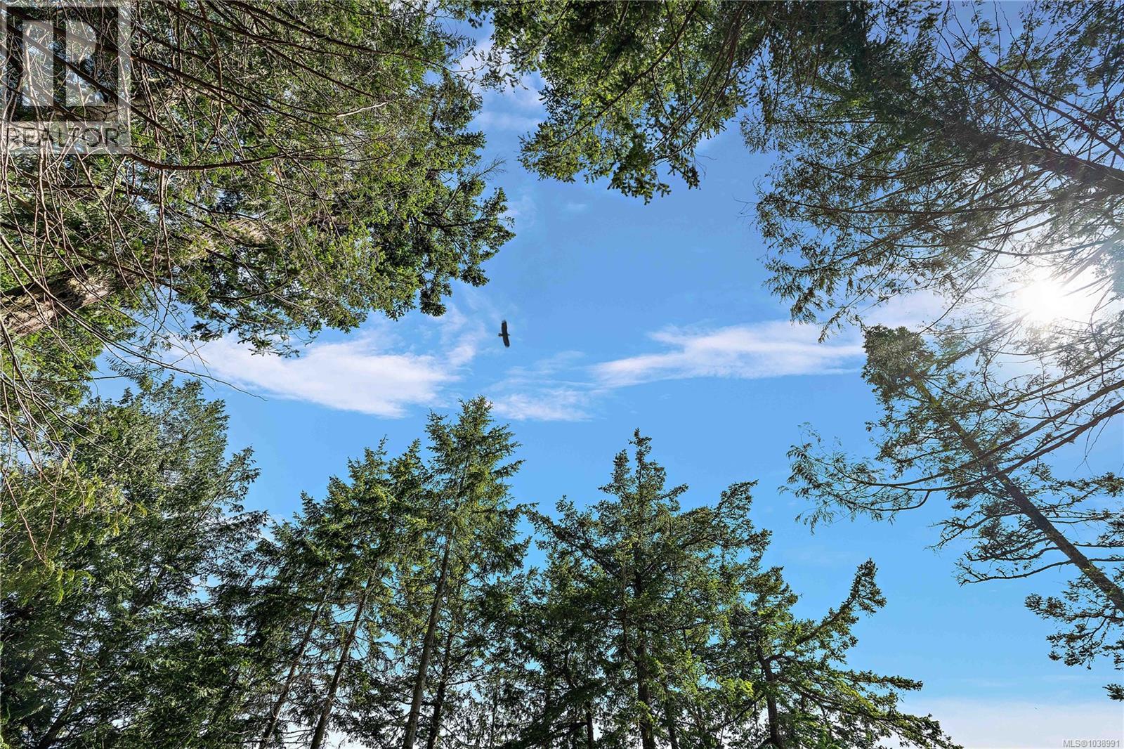 377 Evergreen Lane, Sidney Island, British Columbia  V8L 5Y9 - Photo 14 - 1038991