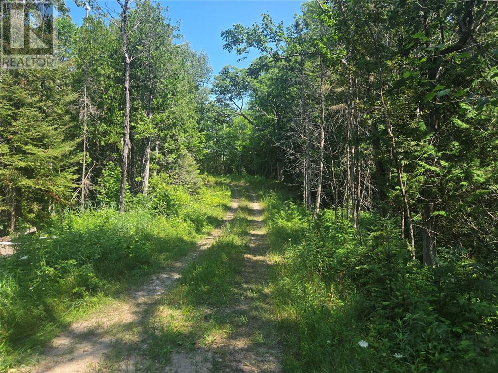20612 Hwy 540, Silver Water, Ontario  P0P 1Y0 - Photo 33 - 2129239