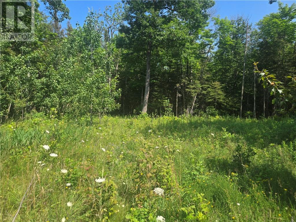 20612 Hwy 540, Silver Water, Ontario  P0P 1Y0 - Photo 36 - 2129239
