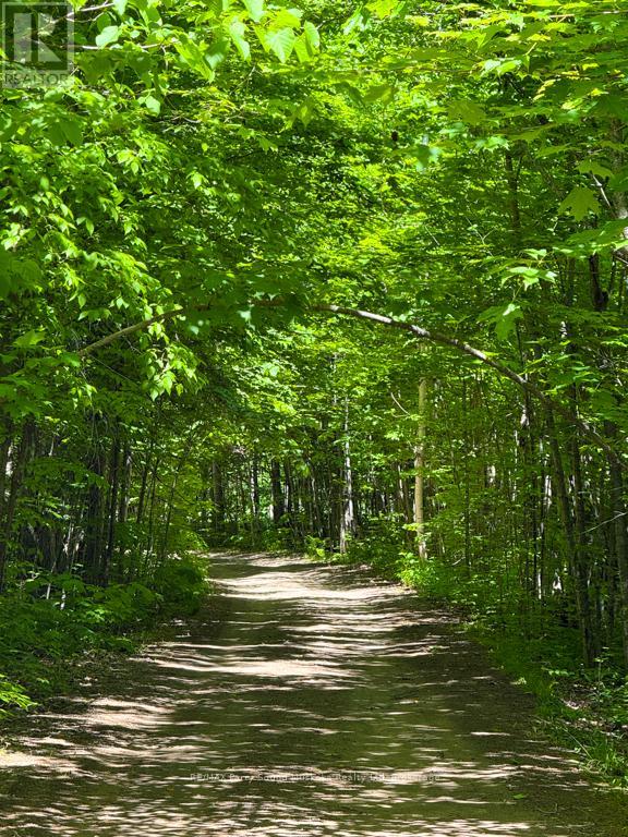 17 Lizzie's Lane, Mckellar, Ontario  P2A 0B4 - Photo 35 - X13635938
