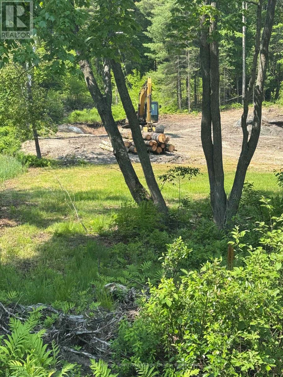 98 Louisa Street, Parry Sound, Ontario  P2A 3C1 - Photo 5 - X13636056