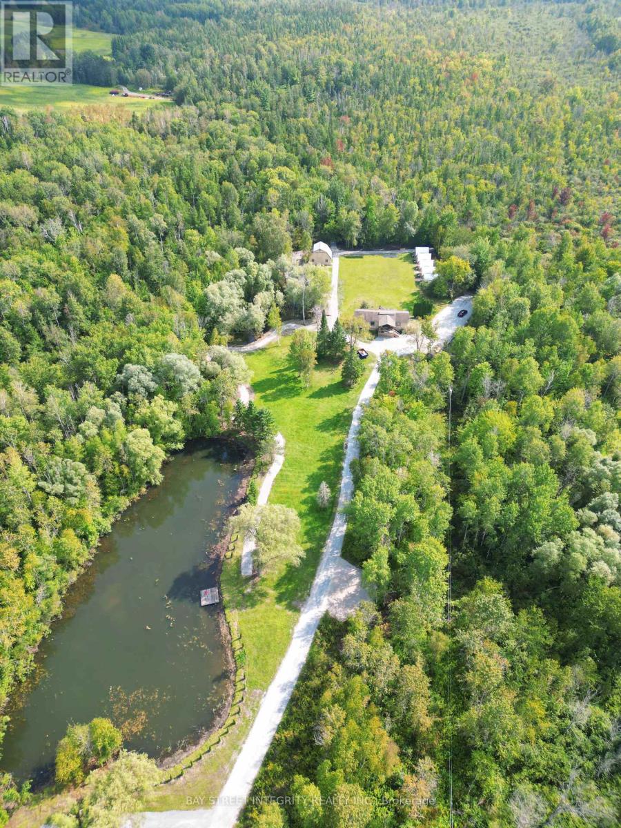 4909 Holborn Road, East Gwillimbury, Ontario  L0G 1M0 - Photo 15 - N13635924