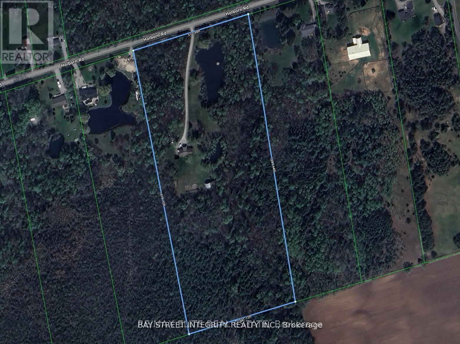 4909 Holborn Road, East Gwillimbury, Ontario  L0G 1M0 - Photo 4 - N13635924