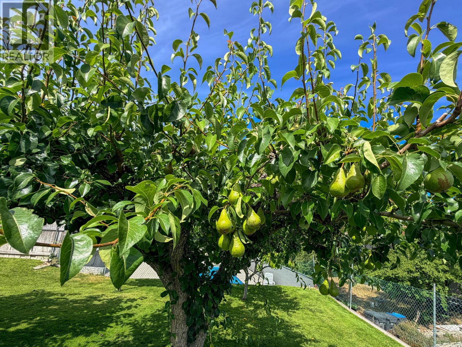 11 Quail Place, Osoyoos, British Columbia  V0H 1V1 - Photo 28 - 10393758