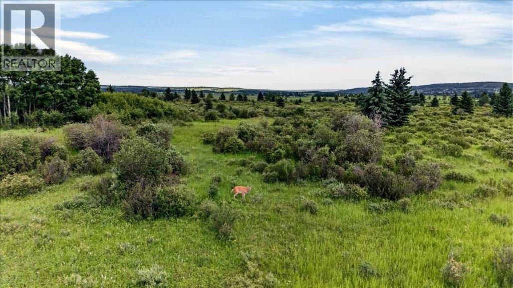 240117 210 Avenue W, Rural Foothills County, Alberta  T0L 1W4 - Photo 45 - A2327363