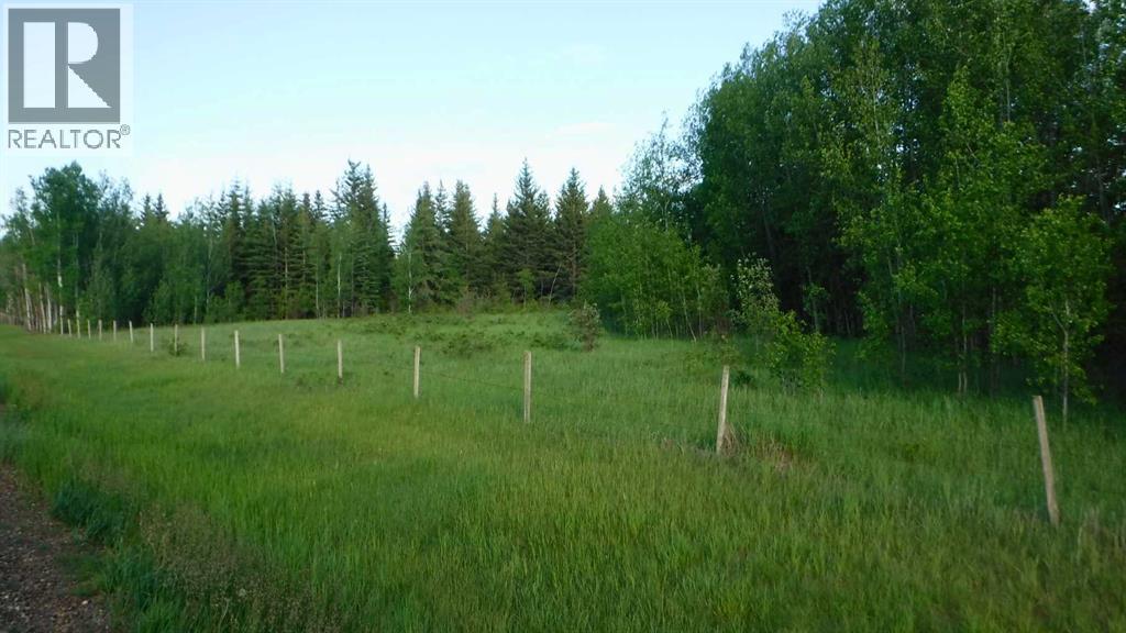 Highway 43, Rural Greenview No. 16, Alberta  T0H 3N0 - Photo 8 - A2318730