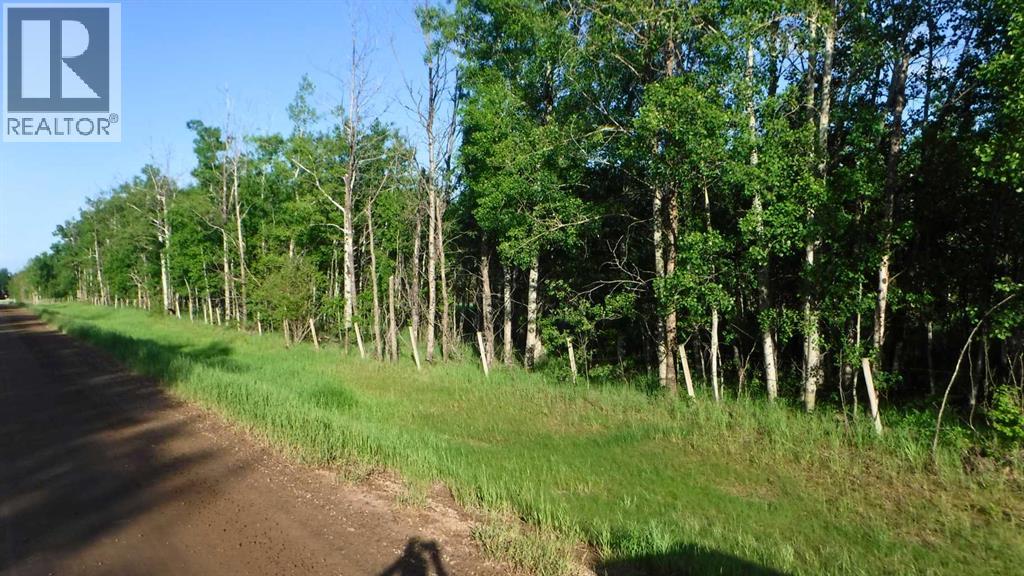 Highway 43, Rural Greenview No. 16, Alberta  T0H 3N0 - Photo 10 - A2318730