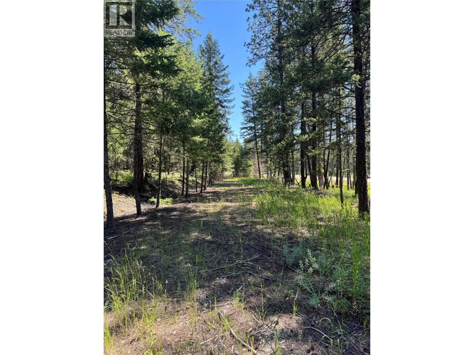 Lot B Stropky Road, Cranbrook, British Columbia  V1C 6X6 - Photo 19 - 10394016