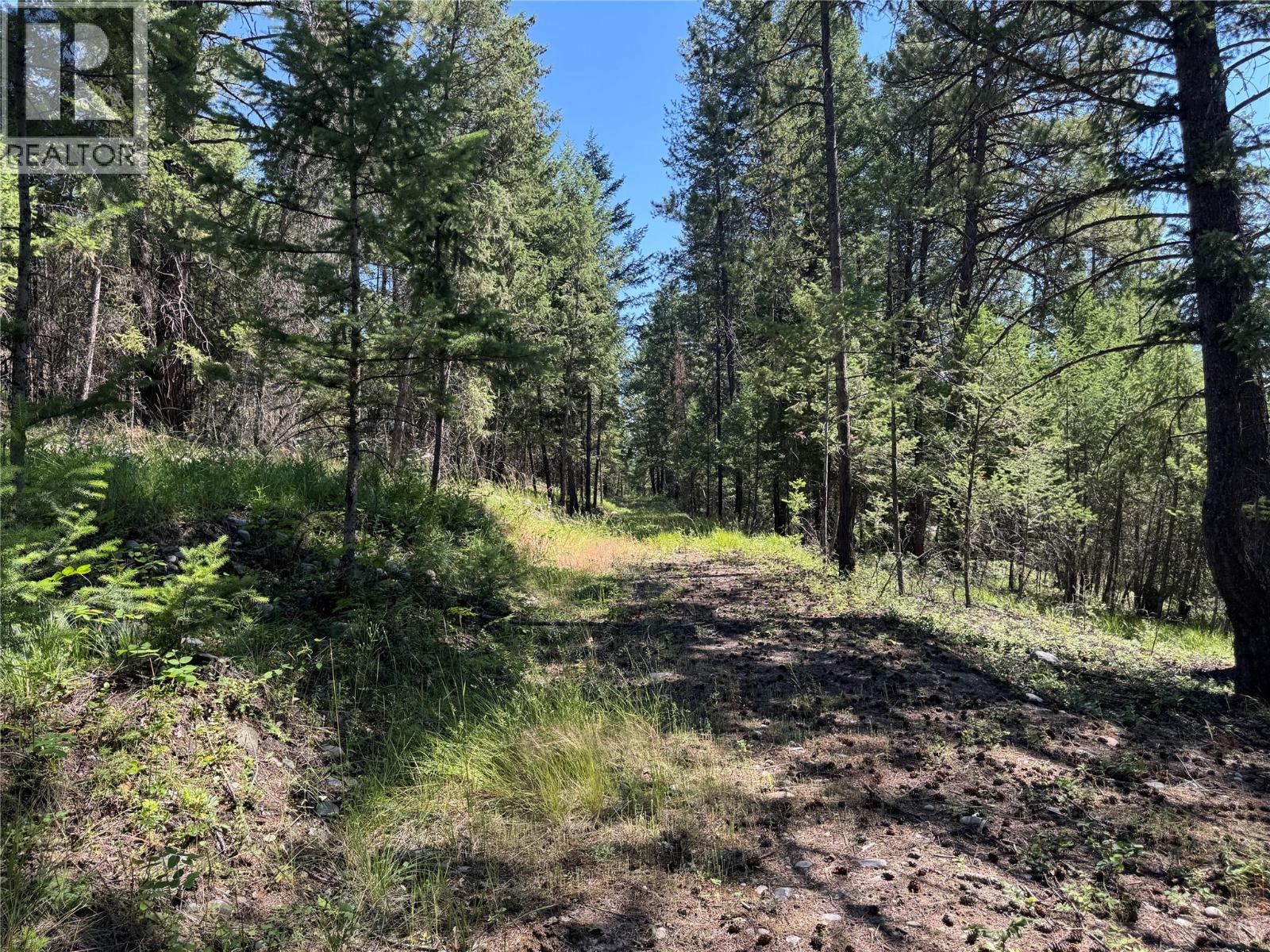 Lot B Stropky Road, Cranbrook, British Columbia  V1C 6X6 - Photo 15 - 10394016