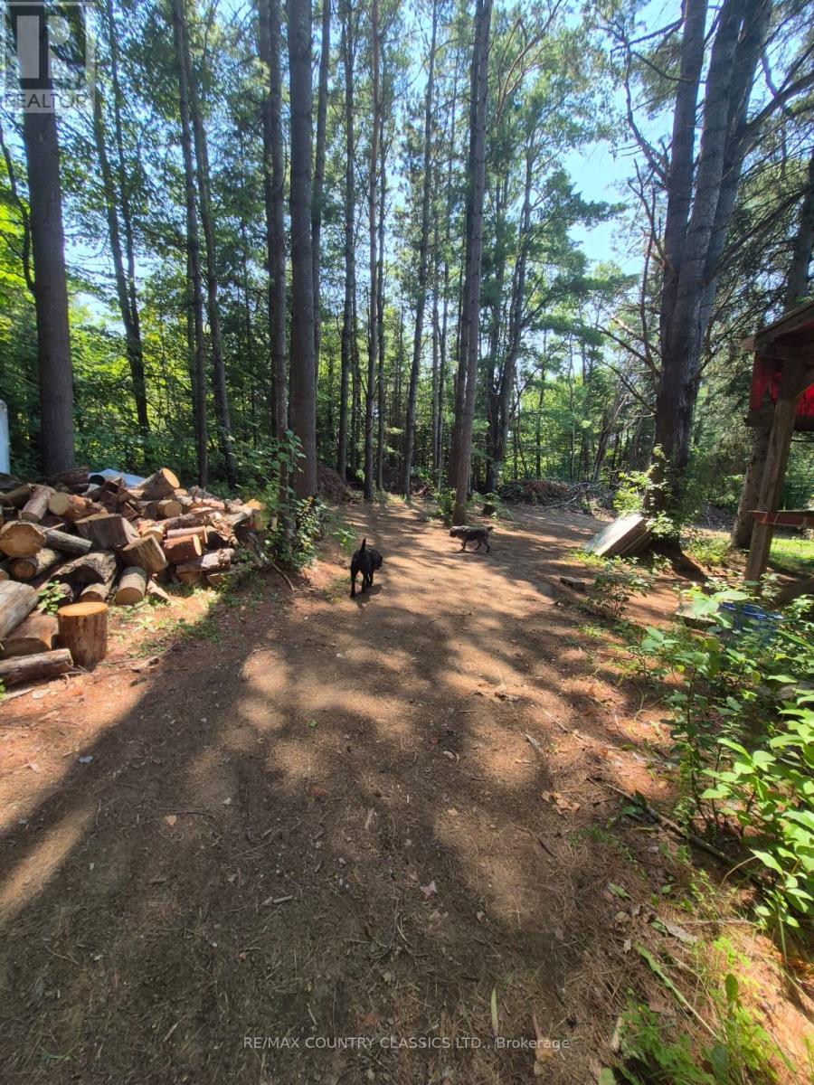 29840 62 Highway, Hastings Highlands, Ontario  K0L 1C0 - Photo 46 - X13135460