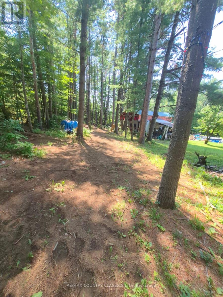29840 62 Highway, Hastings Highlands, Ontario  K0L 1C0 - Photo 48 - X13135460