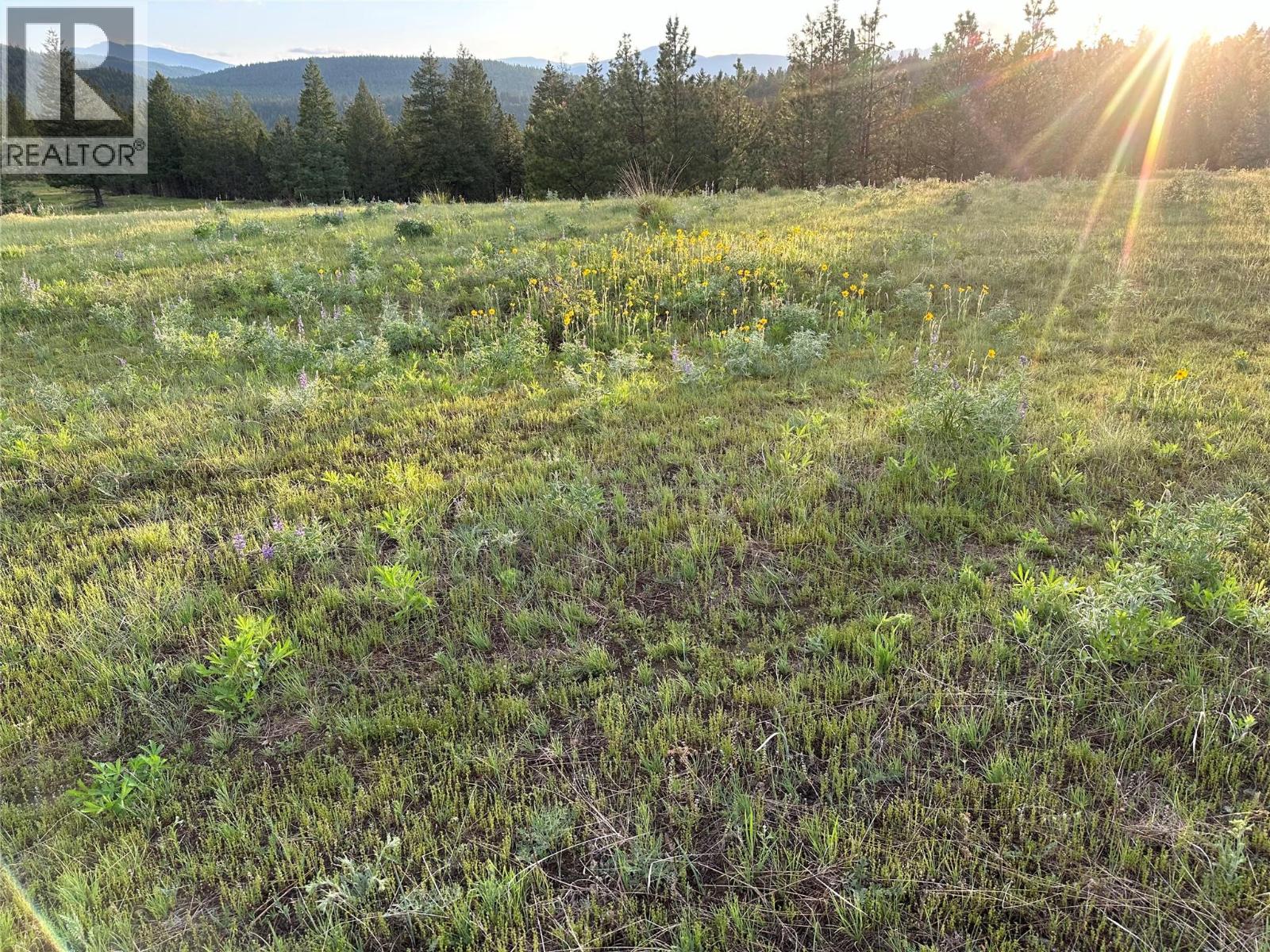6145 Parnaby Road (Lot A9), Cranbrook, British Columbia  V1C 0C2 - Photo 5 - 10340859