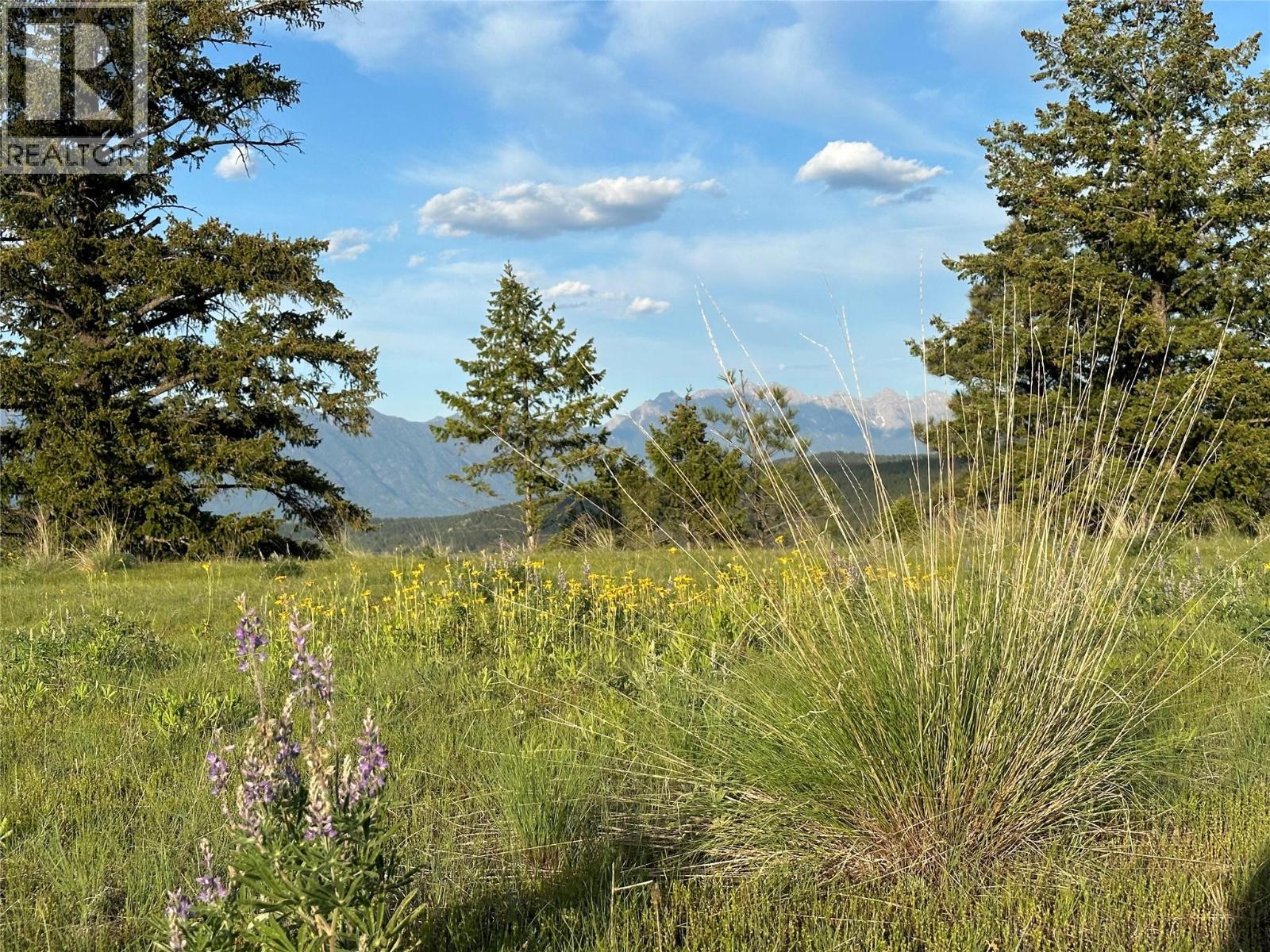 6145 Parnaby Road (Lot A9), Cranbrook, British Columbia  V1C 0C2 - Photo 12 - 10340859