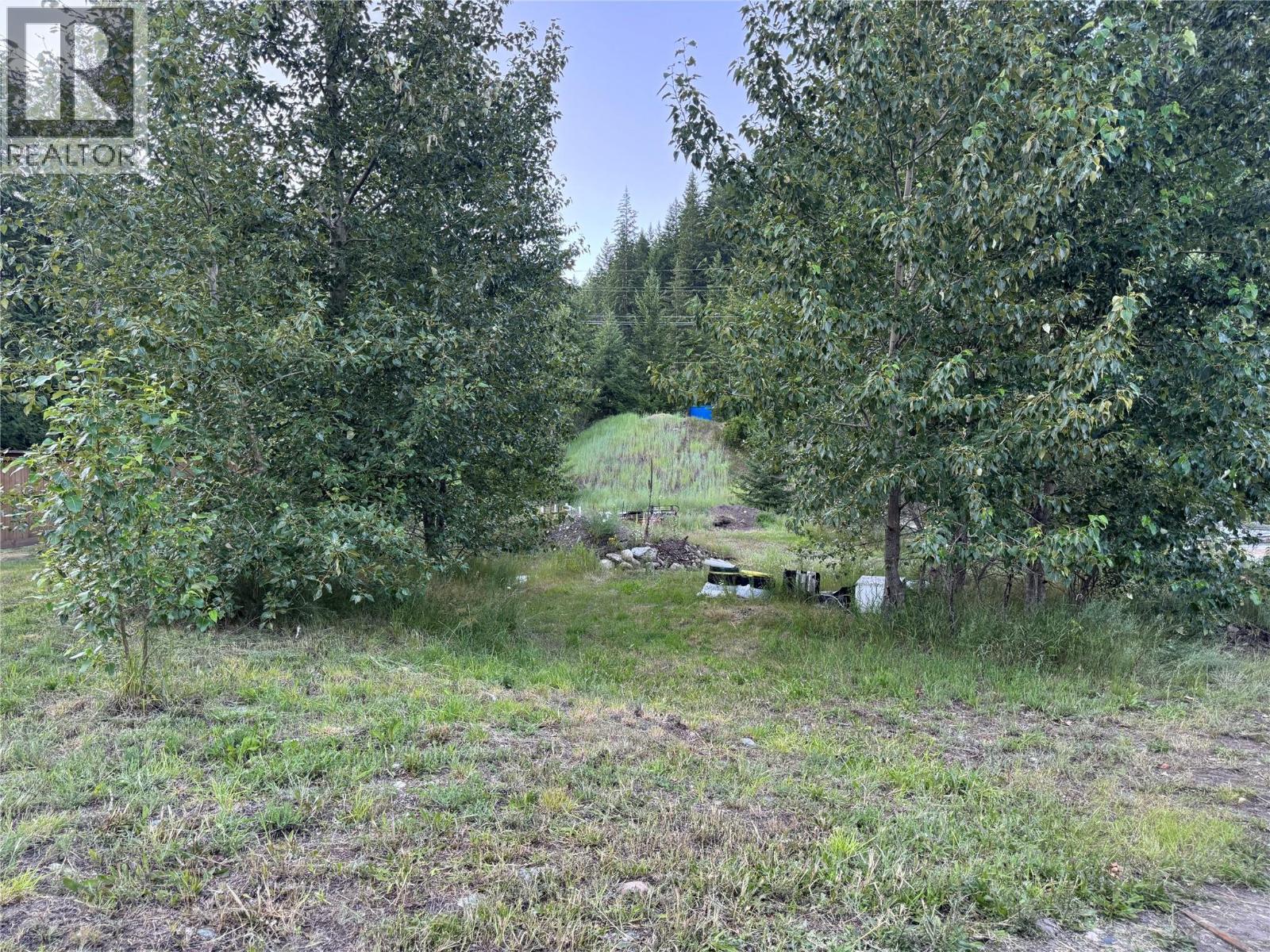 153 Rosebery Road, New Denver, British Columbia  V0G 1S1 - Photo 16 - 10394101