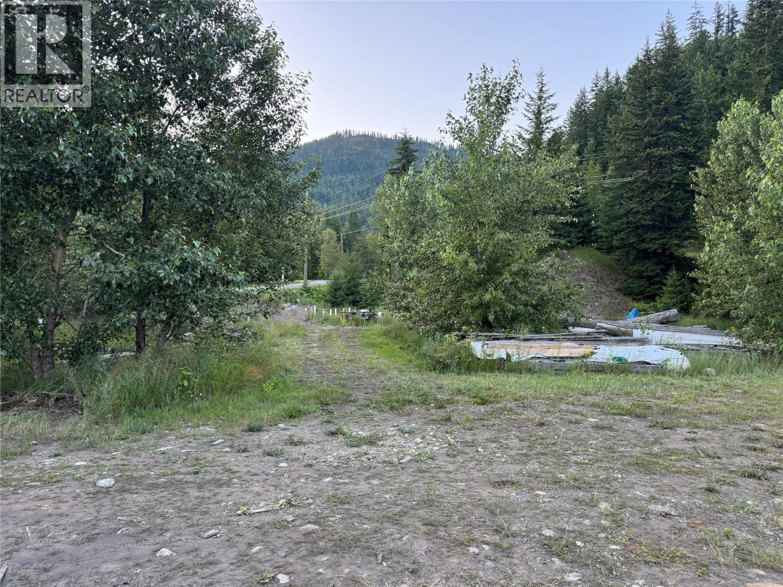 153 Rosebery Road, New Denver, British Columbia  V0G 1S1 - Photo 17 - 10394101