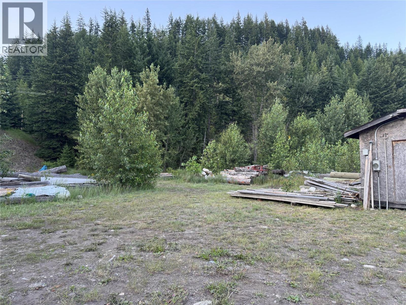 153 Rosebery Road, New Denver, British Columbia  V0G 1S1 - Photo 18 - 10394101