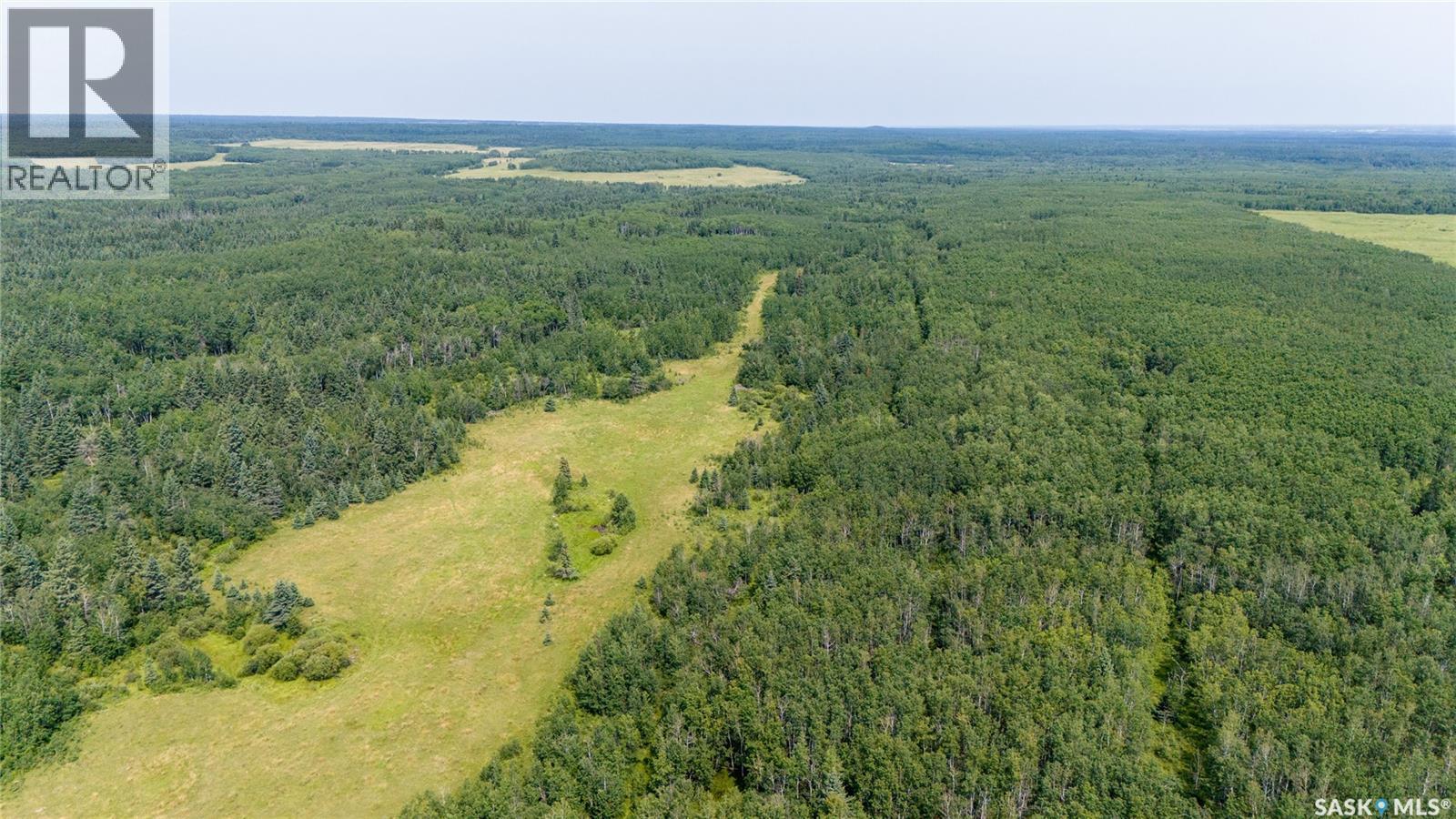 1685 Acres Mixed Use Land Near Spiritwood, Medstead Rm No.497, Saskatchewan  S0J 2M0 - Photo 13 - SK044480