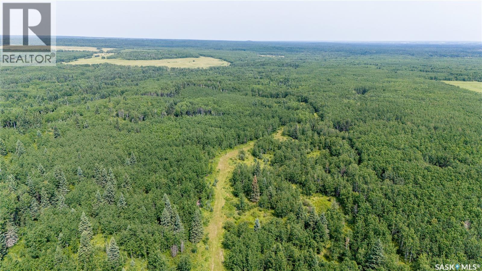 1685 Acres Mixed Use Land Near Spiritwood, Medstead Rm No.497, Saskatchewan  S0J 2M0 - Photo 14 - SK044480