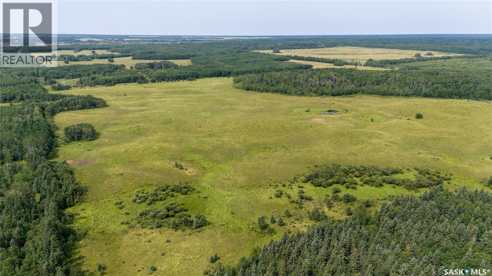 1685 Acres Mixed Use Land Near Spiritwood, Medstead Rm No.497, Saskatchewan  S0J 2M0 - Photo 16 - SK044480