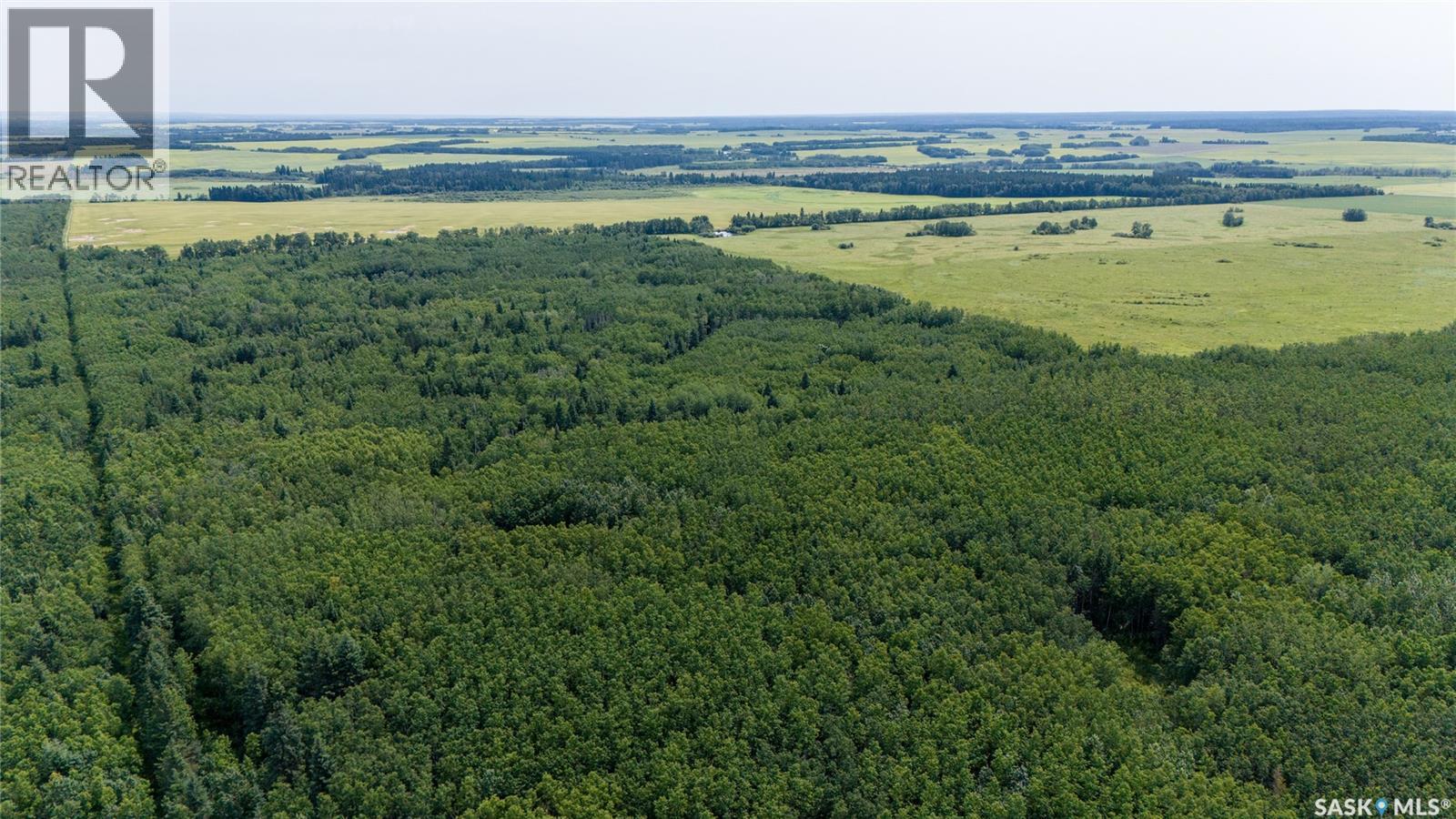 1685 Acres Mixed Use Land Near Spiritwood, Medstead Rm No.497, Saskatchewan  S0J 2M0 - Photo 17 - SK044480