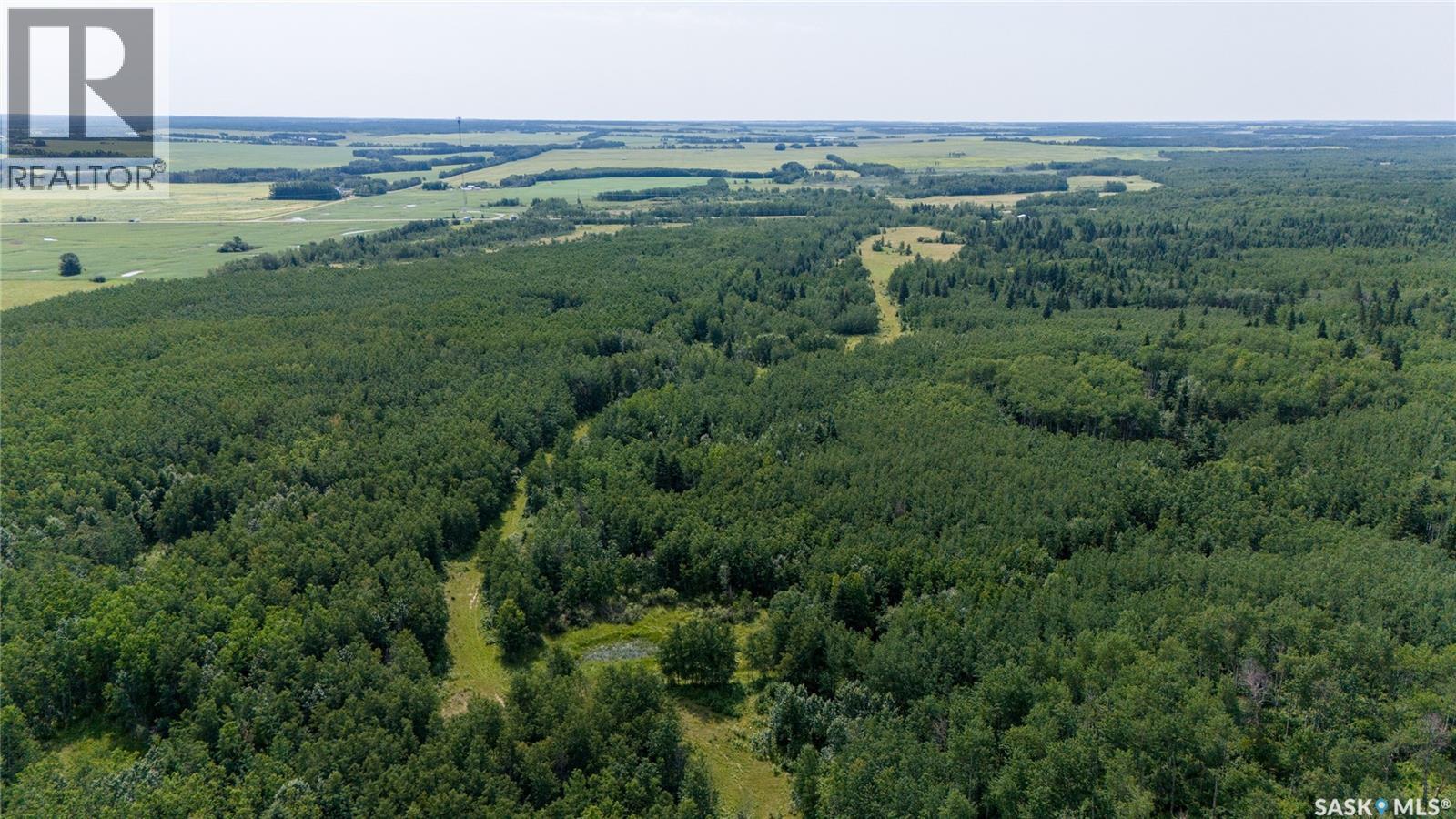1685 Acres Mixed Use Land Near Spiritwood, Medstead Rm No.497, Saskatchewan  S0J 2M0 - Photo 18 - SK044480