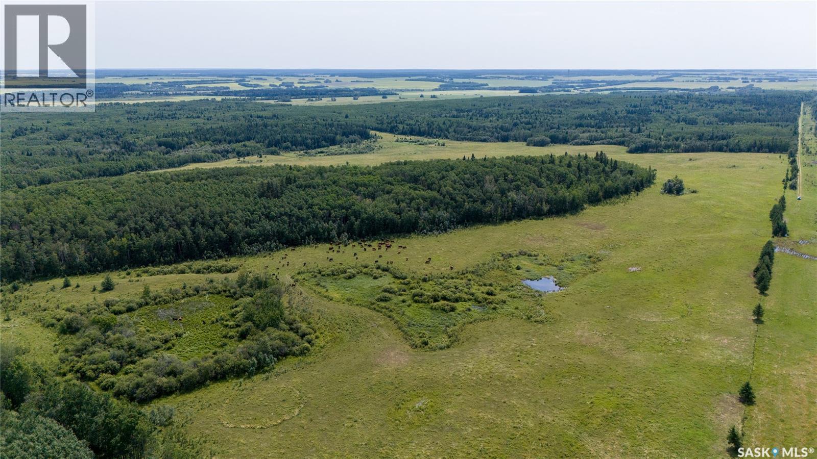 1685 Acres Mixed Use Land Near Spiritwood, Medstead Rm No.497, Saskatchewan  S0J 2M0 - Photo 23 - SK044480