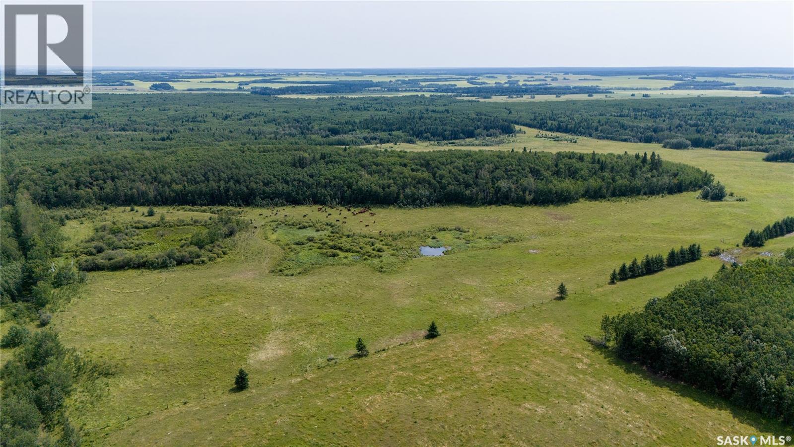 1685 Acres Mixed Use Land Near Spiritwood, Medstead Rm No.497, Saskatchewan  S0J 2M0 - Photo 24 - SK044480