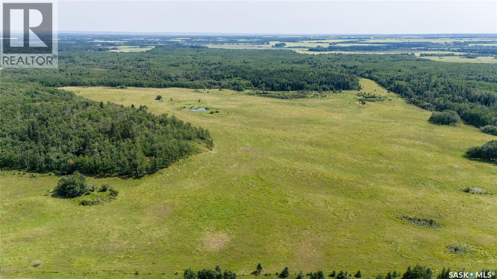 1685 Acres Mixed Use Land Near Spiritwood, Medstead Rm No.497, Saskatchewan  S0J 2M0 - Photo 26 - SK044480