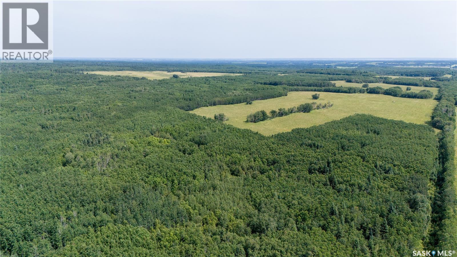 1685 Acres Mixed Use Land Near Spiritwood, Medstead Rm No.497, Saskatchewan  S0J 2M0 - Photo 27 - SK044480