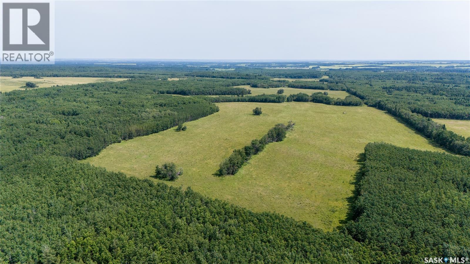 1685 Acres Mixed Use Land Near Spiritwood, Medstead Rm No.497, Saskatchewan  S0J 2M0 - Photo 28 - SK044480