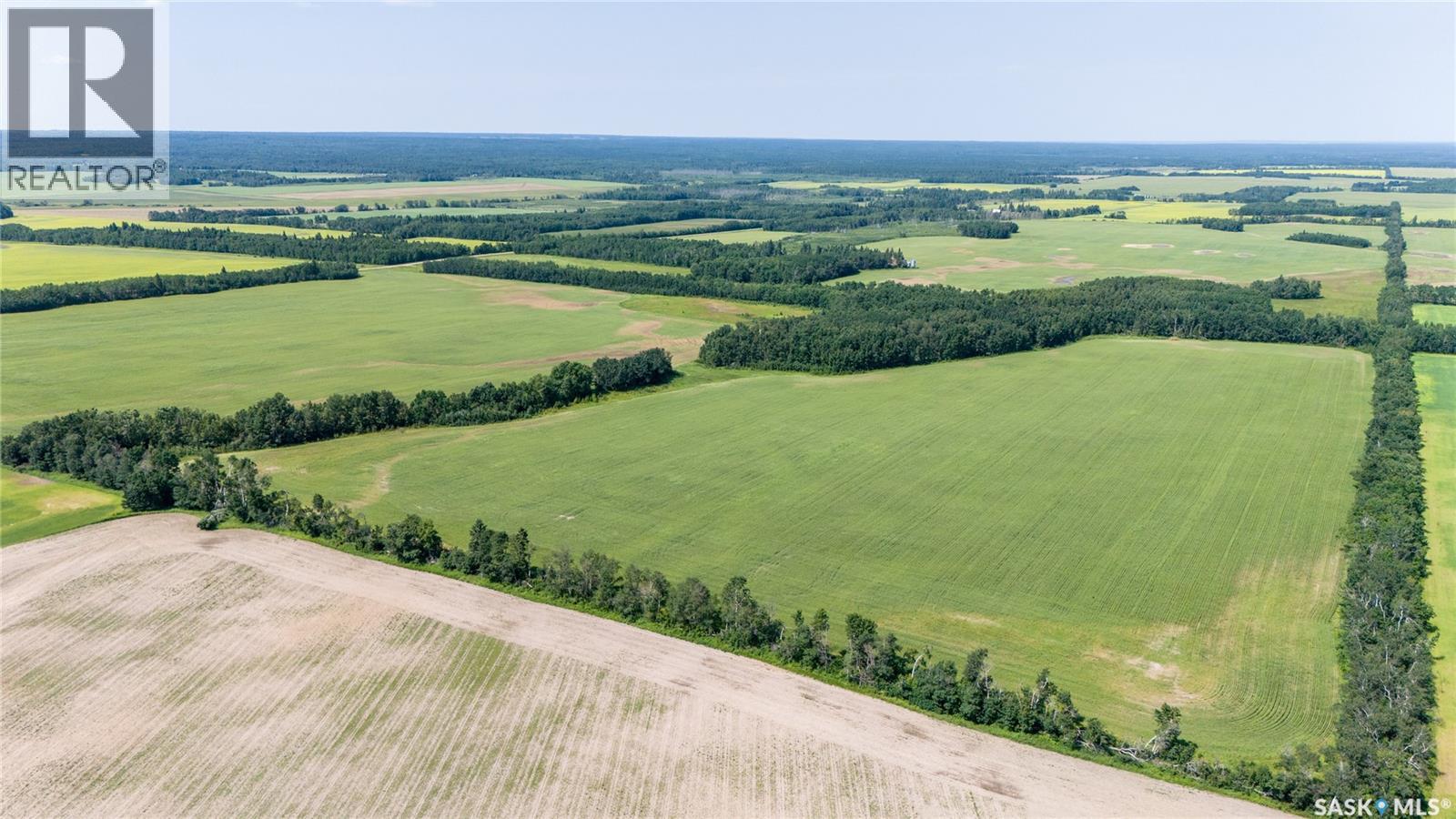 1685 Acres Mixed Use Land Near Spiritwood, Medstead Rm No.497, Saskatchewan  S0J 2M0 - Photo 31 - SK044480
