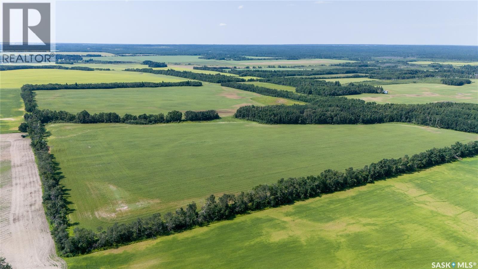 1685 Acres Mixed Use Land Near Spiritwood, Medstead Rm No.497, Saskatchewan  S0J 2M0 - Photo 32 - SK044480
