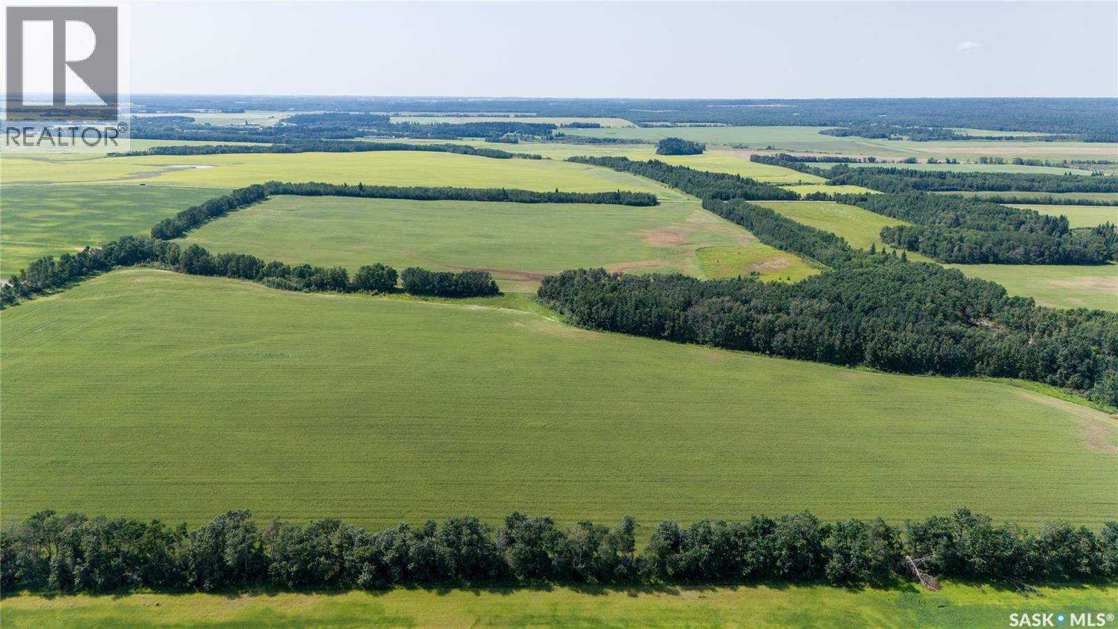 1685 Acres Mixed Use Land Near Spiritwood, Medstead Rm No.497, Saskatchewan  S0J 2M0 - Photo 33 - SK044480