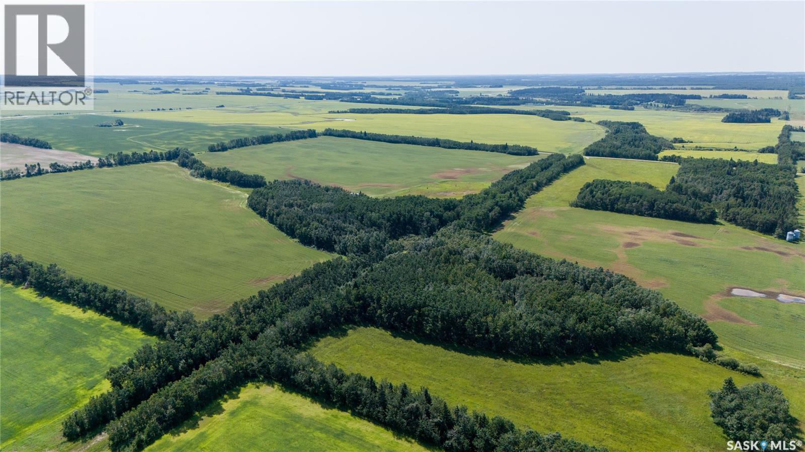 1685 Acres Mixed Use Land Near Spiritwood, Medstead Rm No.497, Saskatchewan  S0J 2M0 - Photo 34 - SK044480
