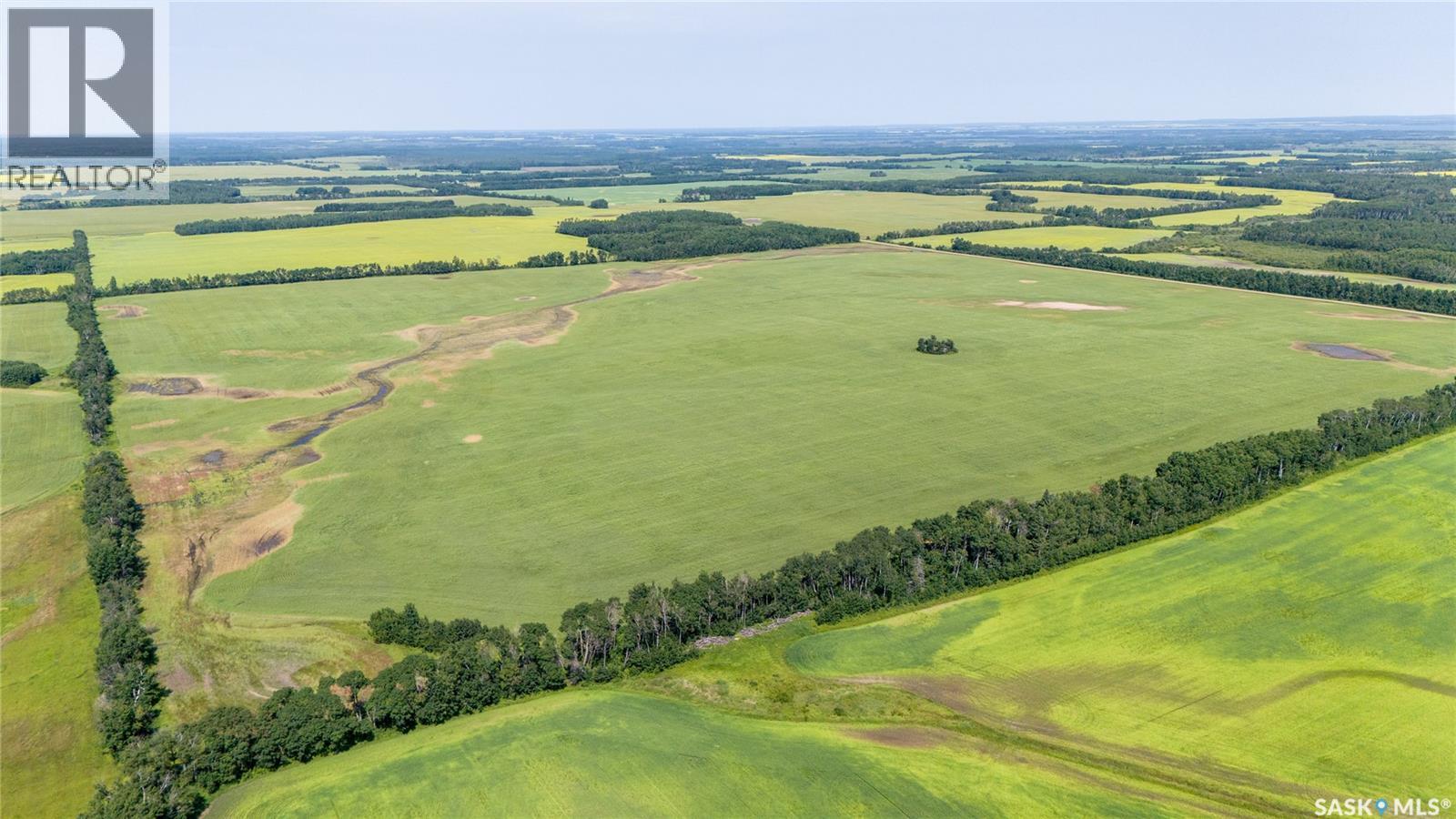1685 Acres Mixed Use Land Near Spiritwood, Medstead Rm No.497, Saskatchewan  S0J 2M0 - Photo 35 - SK044480