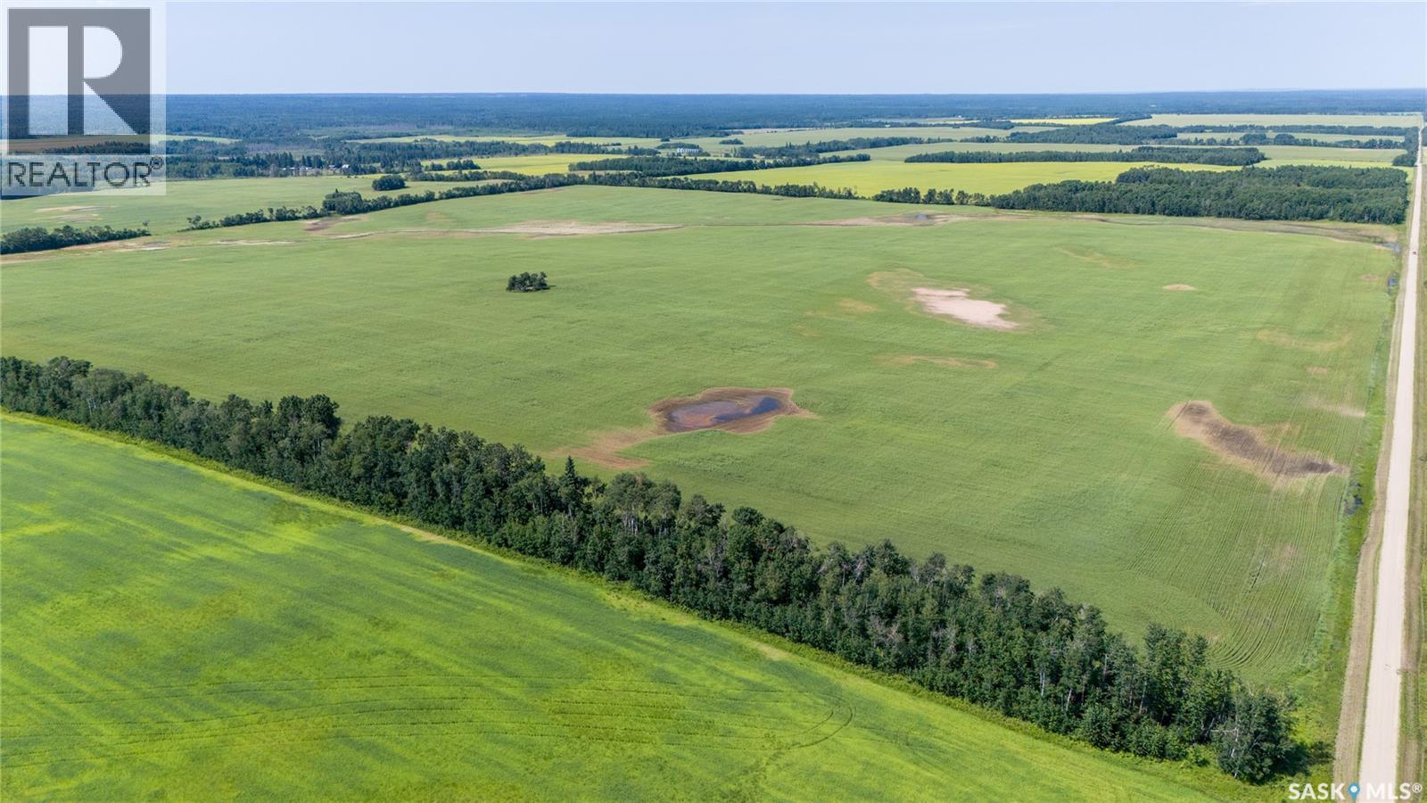 1685 Acres Mixed Use Land Near Spiritwood, Medstead Rm No.497, Saskatchewan  S0J 2M0 - Photo 39 - SK044480