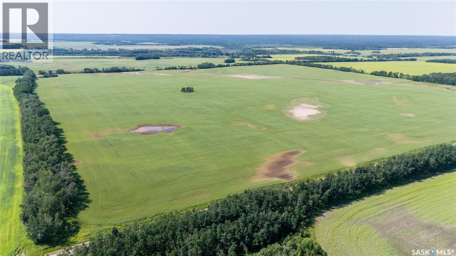 1685 Acres Mixed Use Land Near Spiritwood, Medstead Rm No.497, Saskatchewan  S0J 2M0 - Photo 40 - SK044480