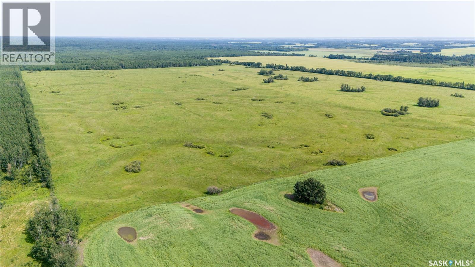1685 Acres Mixed Use Land Near Spiritwood, Medstead Rm No.497, Saskatchewan  S0J 2M0 - Photo 9 - SK044480